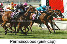 Permaiscuous (14872 bytes)