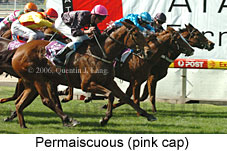 Permaiscuous (14872 bytes)