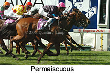 Permaiscuous (14872 bytes)