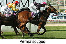 Permaiscuous (14872 bytes)