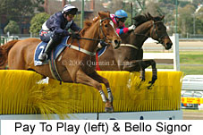 Pay To Play & Bello Signor (11039 bytes)