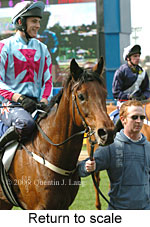 Return to scale (15361 bytes)