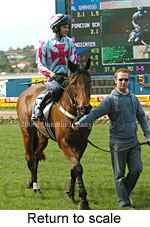 Return to scale (15361 bytes)