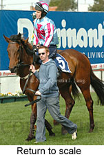 Return to scale (15361 bytes)