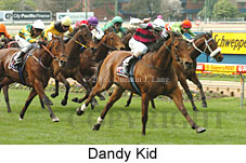 Dandy Kid (14872 bytes)