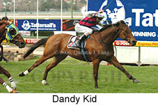 Dandy Kid (14872 bytes)