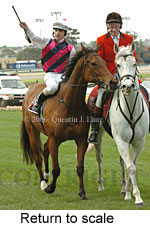 Return to scale (15361 bytes)