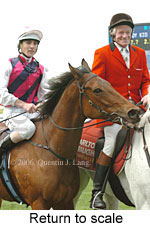 Return to scale (15361 bytes)