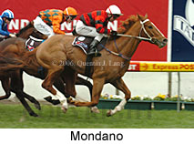 Mondano (14872 bytes)