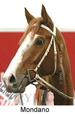 Mondano (14872 bytes)