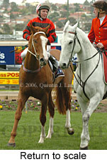 Return to scale (15361 bytes)