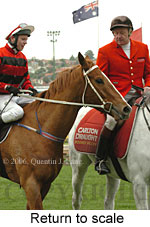 Return to scale (15361 bytes)