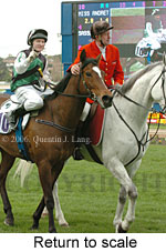 Return to scale (15361 bytes)