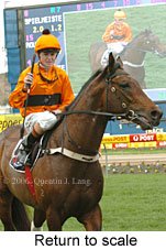 Return to scale (15361 bytes)