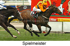 Spielmeister (14872 bytes)