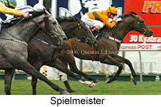 Spielmeister (14872 bytes)