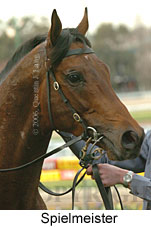 Spielmeister (14872 bytes)