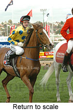 Return to scale (15361 bytes)