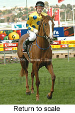 Return to scale (15361 bytes)