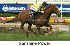 Sunshine Power (14872 bytes)