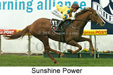 Sunshine Power (14872 bytes)