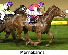 Mannakarma (16900 bytes)