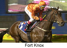 Fort Knox (13219 bytes)