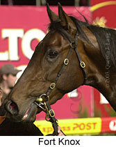 Fort Knox (13302 bytes)