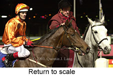 Return to scale (14698 bytes)