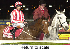 Return to scale (16551 bytes)