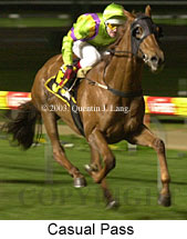 Casual Pass (13756 bytes)