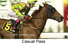 Casual Pass (14515 bytes)