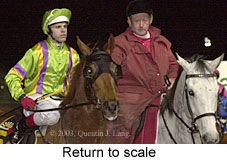 Return to scale (14600 bytes)