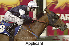 Applicant (14445 bytes)