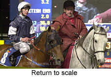 Return to scale (16317 bytes)