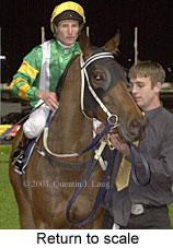 Return to scale (13897 bytes)