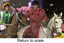 Return to scale (14600 bytes)