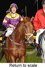 Return to scale (14699 bytes)