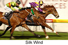 Silk Wind (17134 bytes)