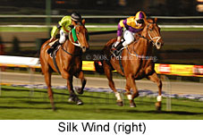 Silk Wind (17134 bytes)