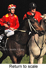 Return to scale (14699 bytes)