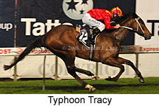 Typhoon Tracy (17134 bytes)