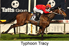 Typhoon Tracy (17134 bytes)