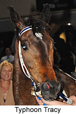 Typhoon Tracy (17134 bytes)
