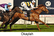 Okaylah (17134 bytes)