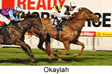 Okaylah (17134 bytes)