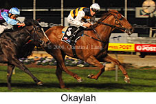 Okaylah (17134 bytes)