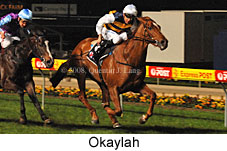 Okaylah (17134 bytes)