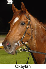 Okaylah (17134 bytes)