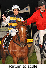 Return to scale (14699 bytes)